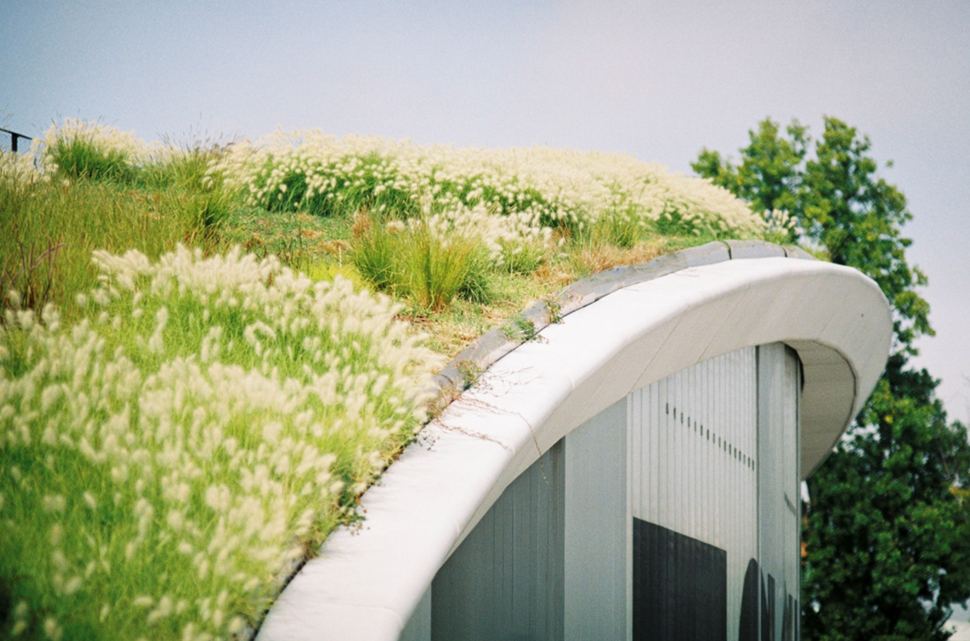 Environmentally Friendly Roofing Materials